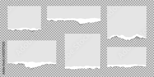 Set of white torn paper pieces, ripped paper, isolated on transparent background.