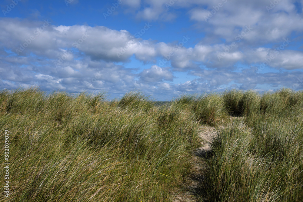 Hohes Gras und Sand auf Düne an der Nordsee bei Schillig - Stockfoto Hohes Gras und Sand auf Düne an der Nordsee bei Schillig - Stockfoto