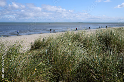 Hundestrand bei Schillig an der Nordsee im Nationalpark Wattenmeer mit hohem Gras auf Düne und Sandstrand - Stockfoto