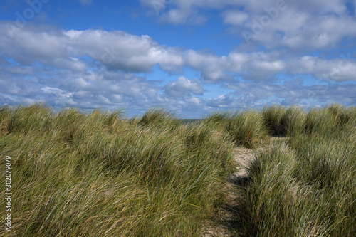 Hohes Gras und Sand auf Düne an der Nordsee bei Schillig - Stockfoto