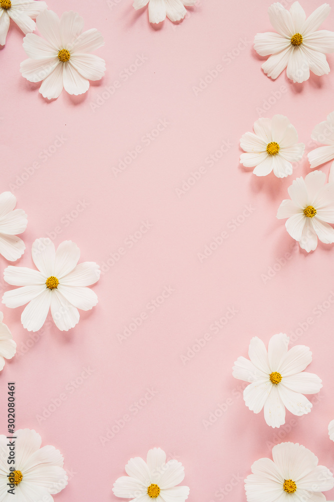 Minimal styled concept. White daisy chamomile flowers on pale pink background. Creative lifestyle, summer, spring concept. Copy space, flat lay, top view. Minimal styled concept. White daisy chamomile flowers on pale pink background. Creative lifestyle, summer, spring concept. Copy space, flat lay, top view.
