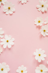 Minimal styled concept. White daisy chamomile flowers on pale pink background. Creative lifestyle, summer, spring concept. Copy space, flat lay, top view.