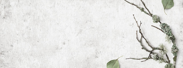 minimalist natural Scandinavian style winter banner with forest elements such as twigs, lichens, and dry leaves on a distressed white wooden background, flat lay / top view