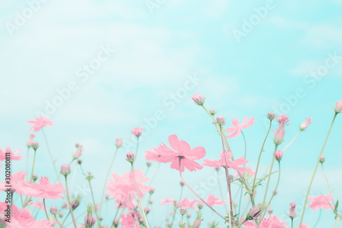 Abstract blue background with pink flower © pumpkinjoker