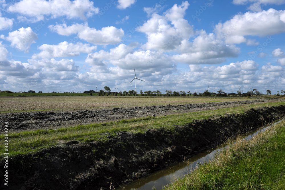 Fototapeta premium Deichhinterland im Harlinger Land bei Harlesiel in Niedersachsen an der Nordseeküste - StockfotoeG