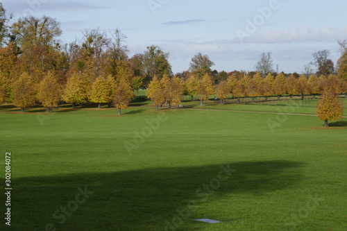 Parkland at Burghley House