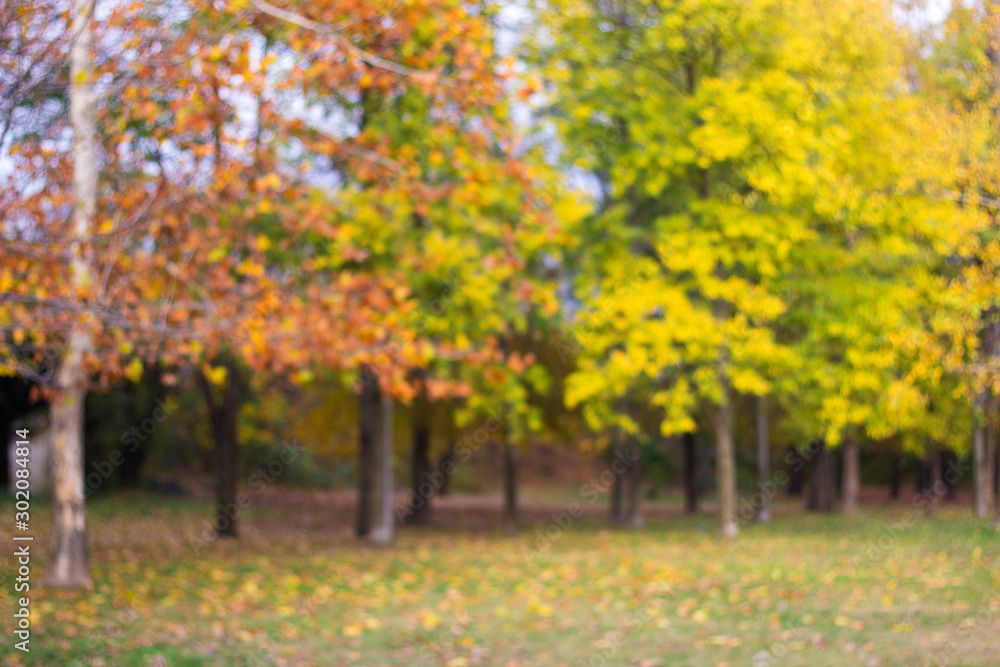 Naklejka premium Autumn comes on glowing blurry background