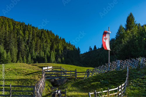 alpine pasture with tyrolean flag