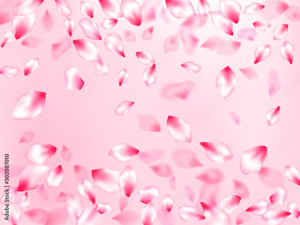 Spring blossom isolated petals flying Spring blossom isolated petals flying