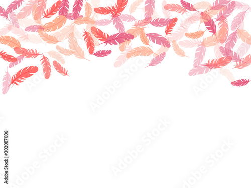 Detailed majestic feather on white design.