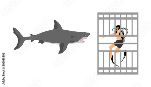 Diver in diving cage observing a great white shark vector isolated.  Swimming biology research. Brave explorer against shark under water. Scary scene in marine wildlife. Help for ocean beach swimmers.