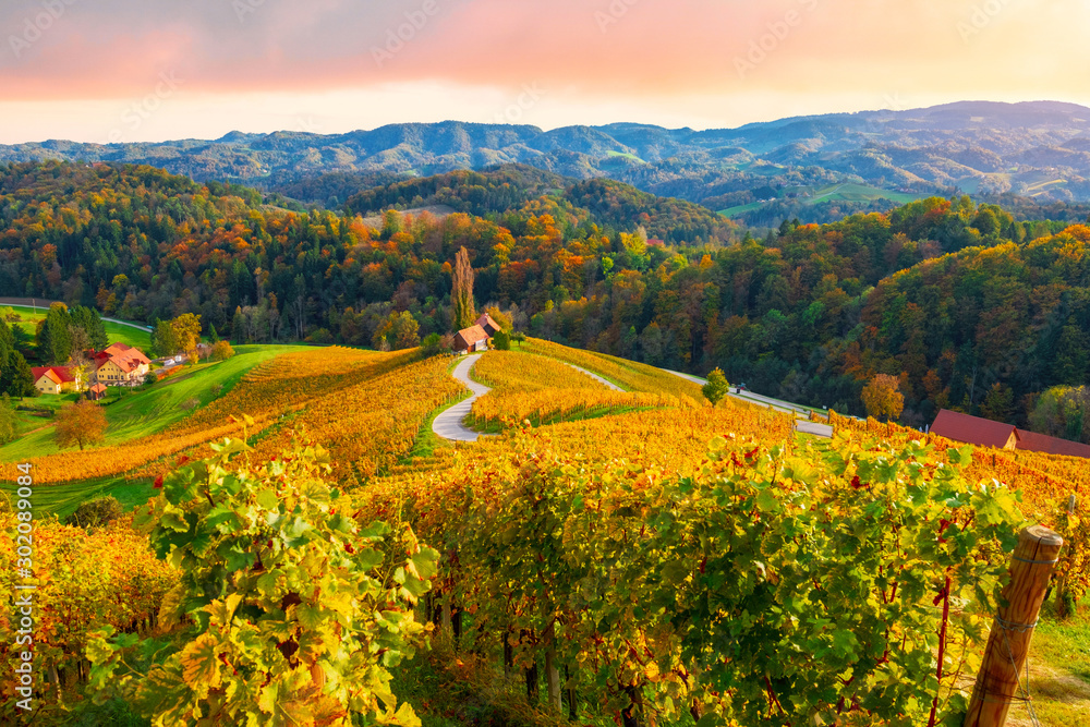 Famous heart-shaped wine route in beautiful autumn colors, wonderful vineyards near Maribor, close to the Austrian border