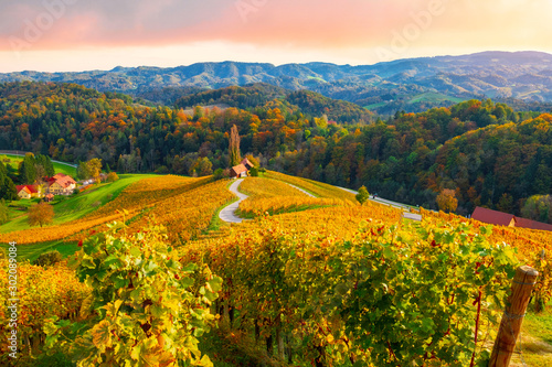 Famous heart-shaped wine route in beautiful autumn colors, wonderful vineyards near Maribor, close to the Austrian border photo