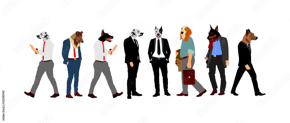 Elegant macho man with dog head. Staffordshire pit bull terrier over manager face. Confident leader standing. Doberman Businessman crew vector illustration. Handsome man in black suite with dog face. Elegant macho man with dog head. Staffordshire pit bull terrier over manager face. Confident leader standing. Doberman Businessman crew vector illustration. Handsome man in black suite with dog face.