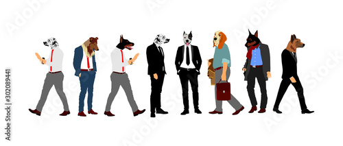 Elegant macho man with dog head. Staffordshire pit bull terrier over manager face. Confident leader standing. Doberman Businessman crew vector illustration. Handsome man in black suite with dog face.