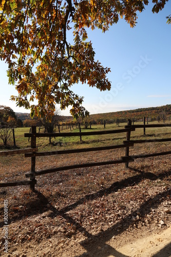 Autumnal colours at rural animal farm countryside