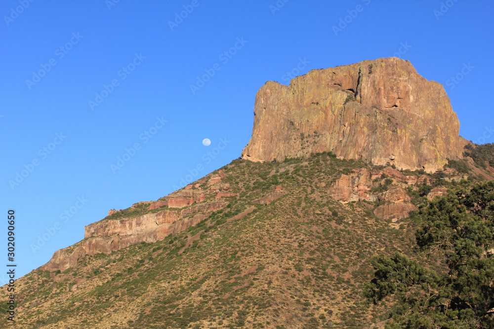 Dessert Landscape with Moon Dessert Landscape with Moon