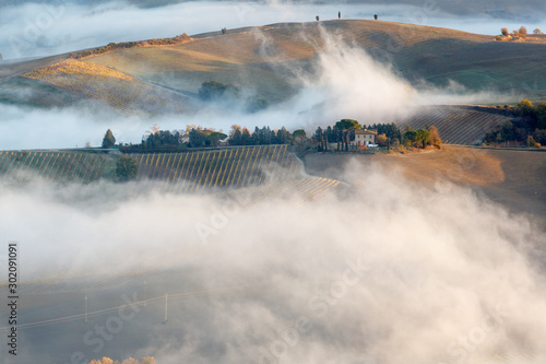 Tuscan landscape at sunrise under the fog © maxime-me