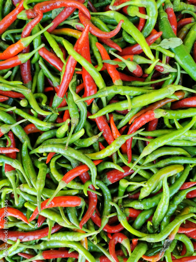 Red and green chili peppers background Red and green chili peppers background