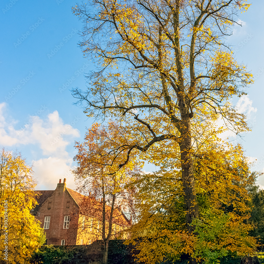 Autumn in British park - Osterley, Isleworth, London, United Kingdom Autumn in British park - Osterley, Isleworth, London, United Kingdom