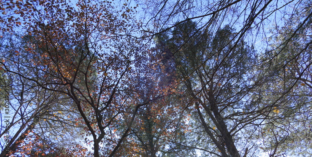 November light November light
