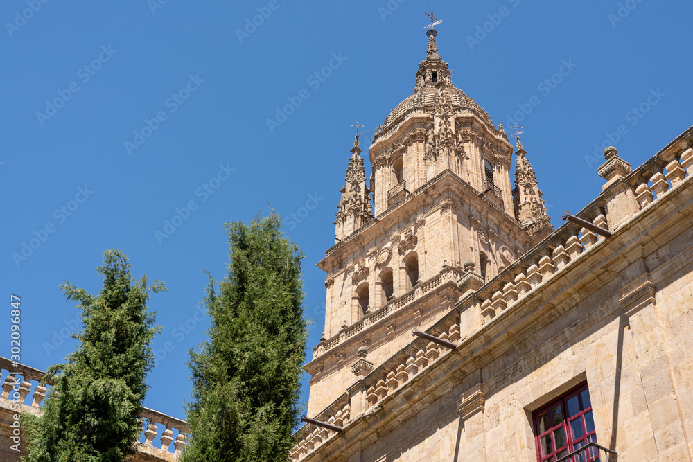 Exterior view of the bell tower and carvings on the roof of the old Cathedral in Salamanca Exterior view of the bell tower and carvings on the roof of the old Cathedral in Salamanca