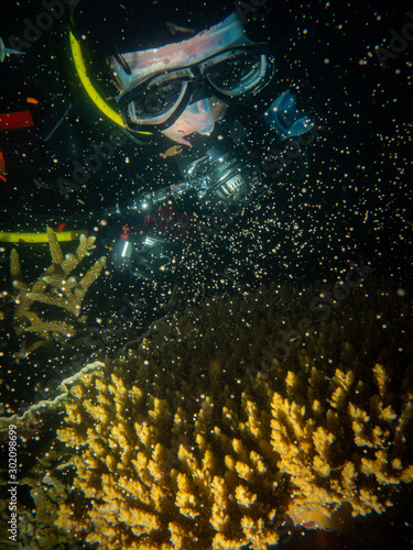 Foto Acropora coral spawning on Magnetic Island