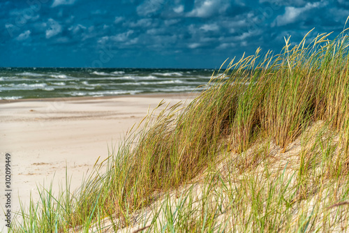 Dünen und Dünengras an der Ostsee