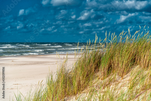 Dünen und Dünengras an der Ostsee