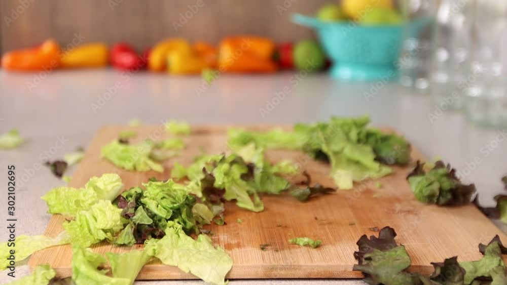 Chopped romaine lettuce is dropped in slow motion Chopped romaine lettuce is dropped in slow motion