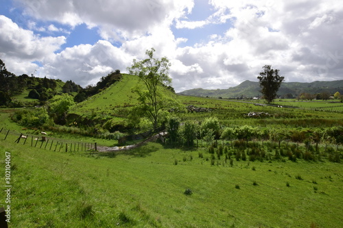 A countryside landscape of North island New Zealand