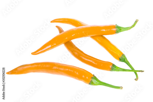 chilli isolated on white background