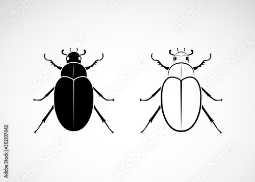 Vector of cockchafer (Melolontha melolontha) isolated on white background. Insect. Animals. Easy editable layered vector illustration.