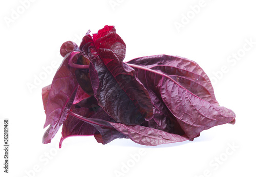 red spinach isolated on white background © Poramet