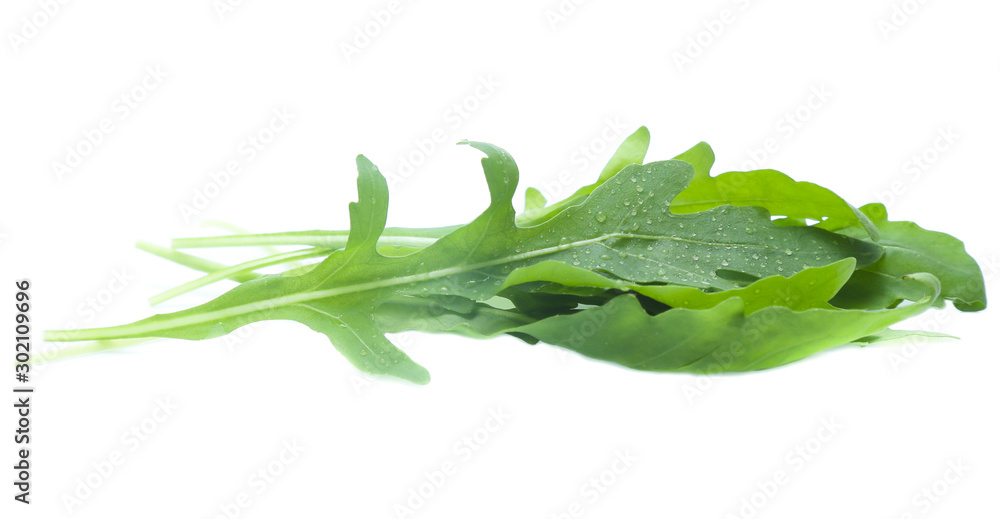 Fototapeta premium green fresh rucola leaves isolated on white background. Rocket salad or arugula