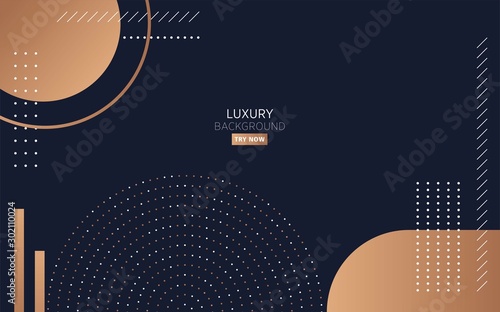 luxury premium black abstract background with circle dots and line,can be used in cover design, poster, flyer, book design, website backgrounds or advertising. vector illustration.