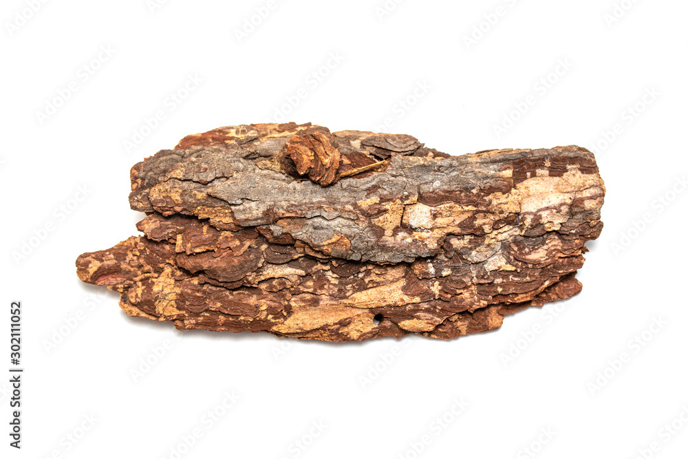 A piece of tree bark is isolated on a white background. A piece of tree bark is isolated on a white background.