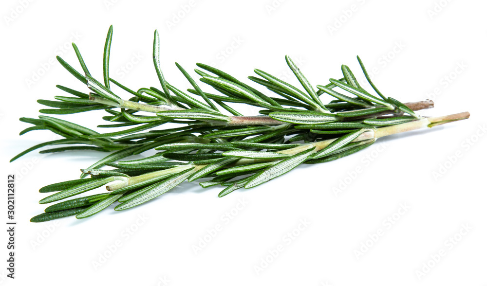 rosemary isolated on white background