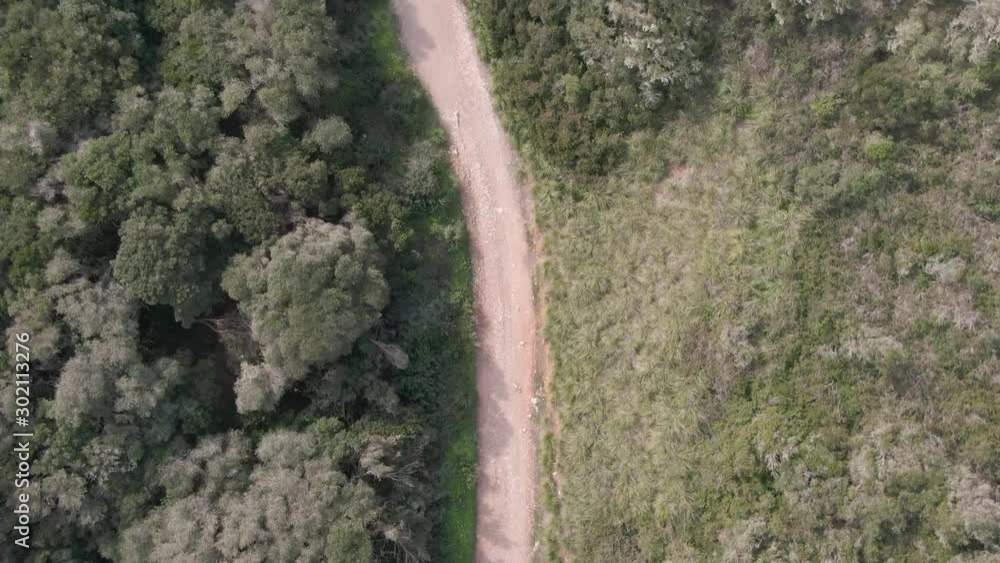 Flying over a forest path in Cales Coves, Menorca Flying over a forest path in Cales Coves, Menorca