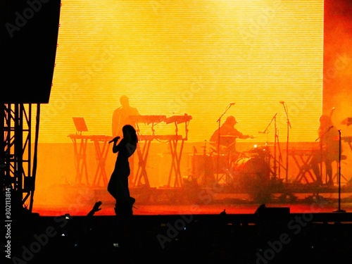 artist performing in concert