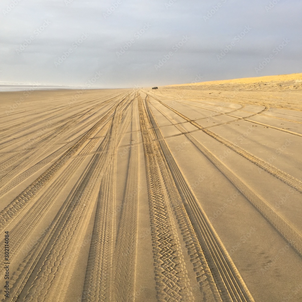 Tire tracks down beach in Oregon Tire tracks down beach in Oregon