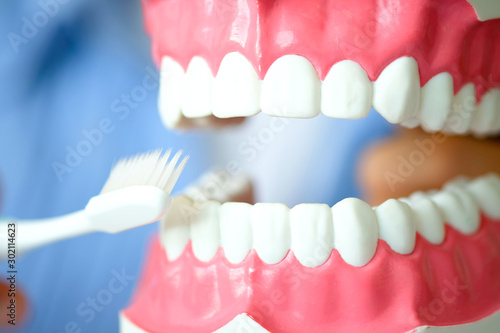 hands of a dentist, he is demonstrating how to brush your teeth properly. To clean the teeth and oral cavity.