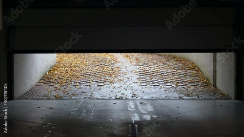 Garage Door Close - stock video
Garage roller door closing from the top to the bottom with autumn leaves background. Part3 photo