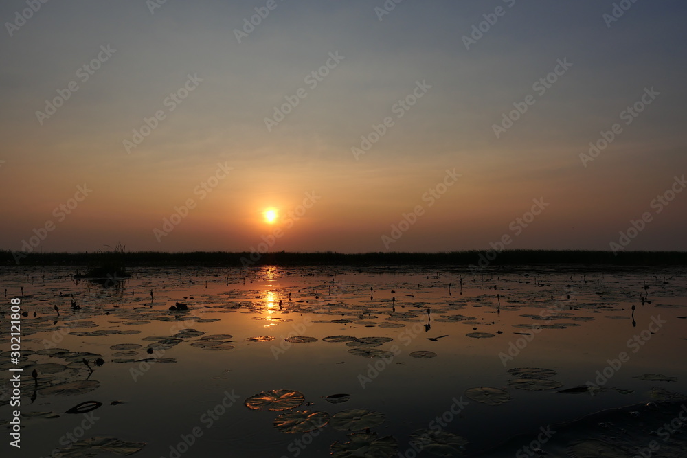 Silhouette of the trees and water plants and the reflection in lake at sunset, Wetland at Khao Sam Roi Yot National Park, Thailand Silhouette of the trees and water plants and the reflection in lake at sunset, Wetland at Khao Sam Roi Yot National Park, Thailand