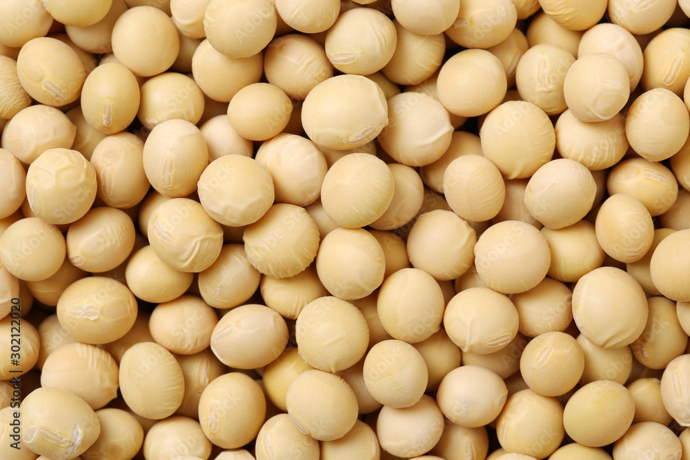 Soybean background Soybean background