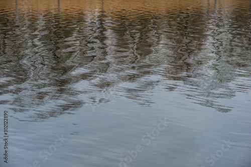 reflection of shadows of trees and dry vegetation in the water of the river.