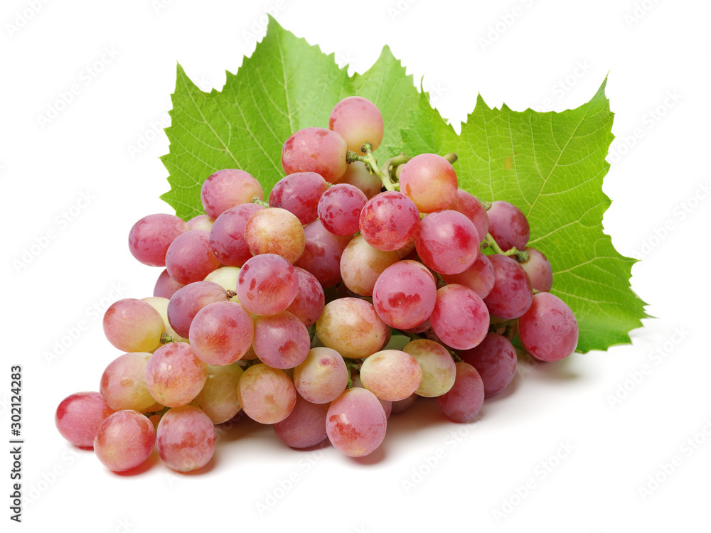 Fototapeta premium red grape on white background 