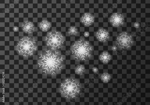 White snow flakes weather meteo icon vector illustration