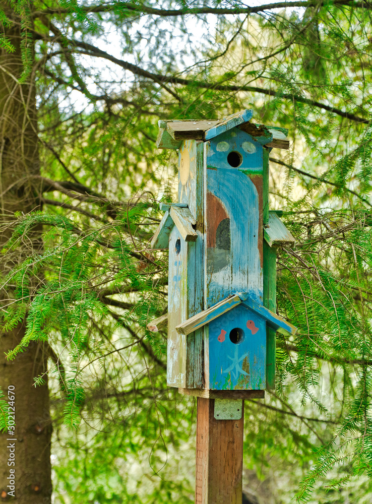 2019-10-02 BIRD HOUSE IN THE WOODS