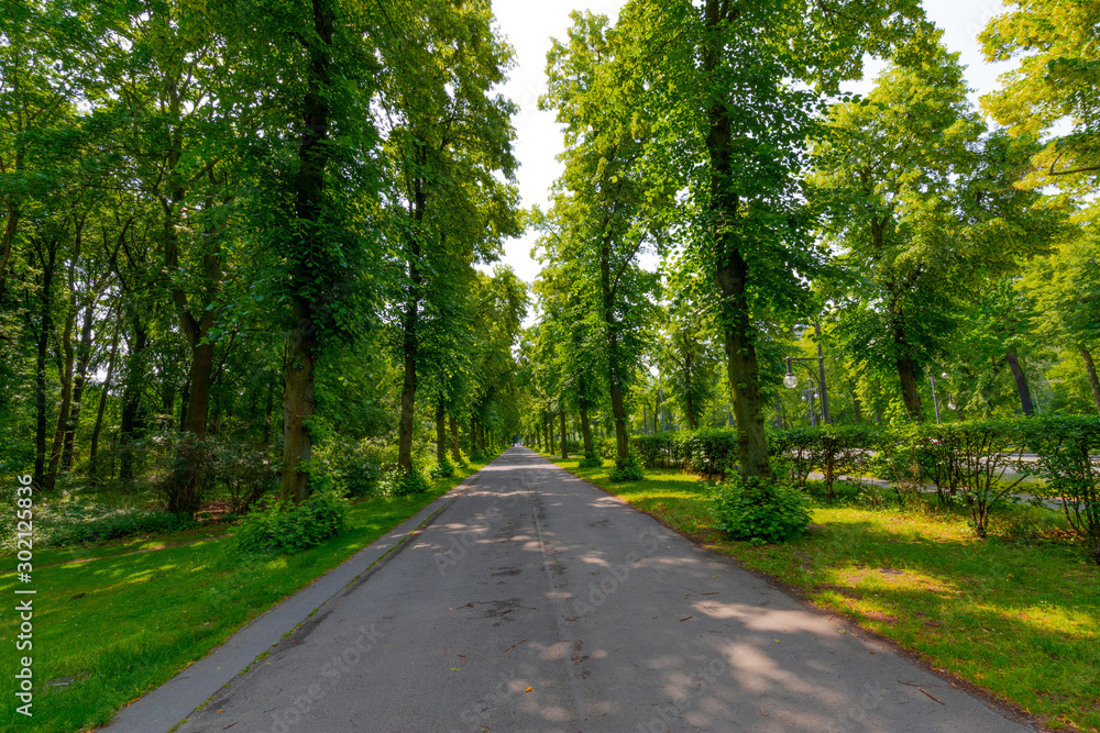 Fototapeta premium Berlin City Sidewalk